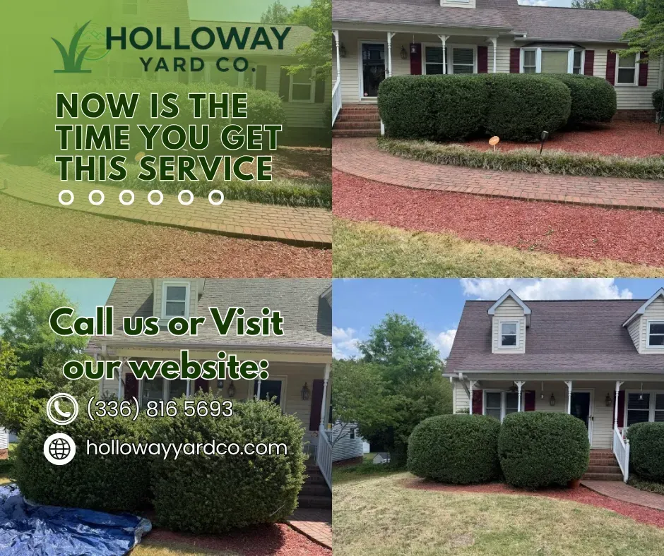 Lawn care ad for Holloway Yard Co. showing a brick house, hedges, and green lawn with contact info and website.