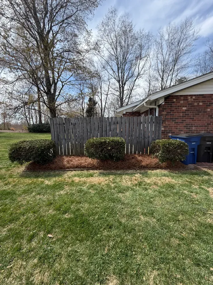 Backyard with grass, wooden fence, shrubs, trees, and blue recycling bins beside a brick house