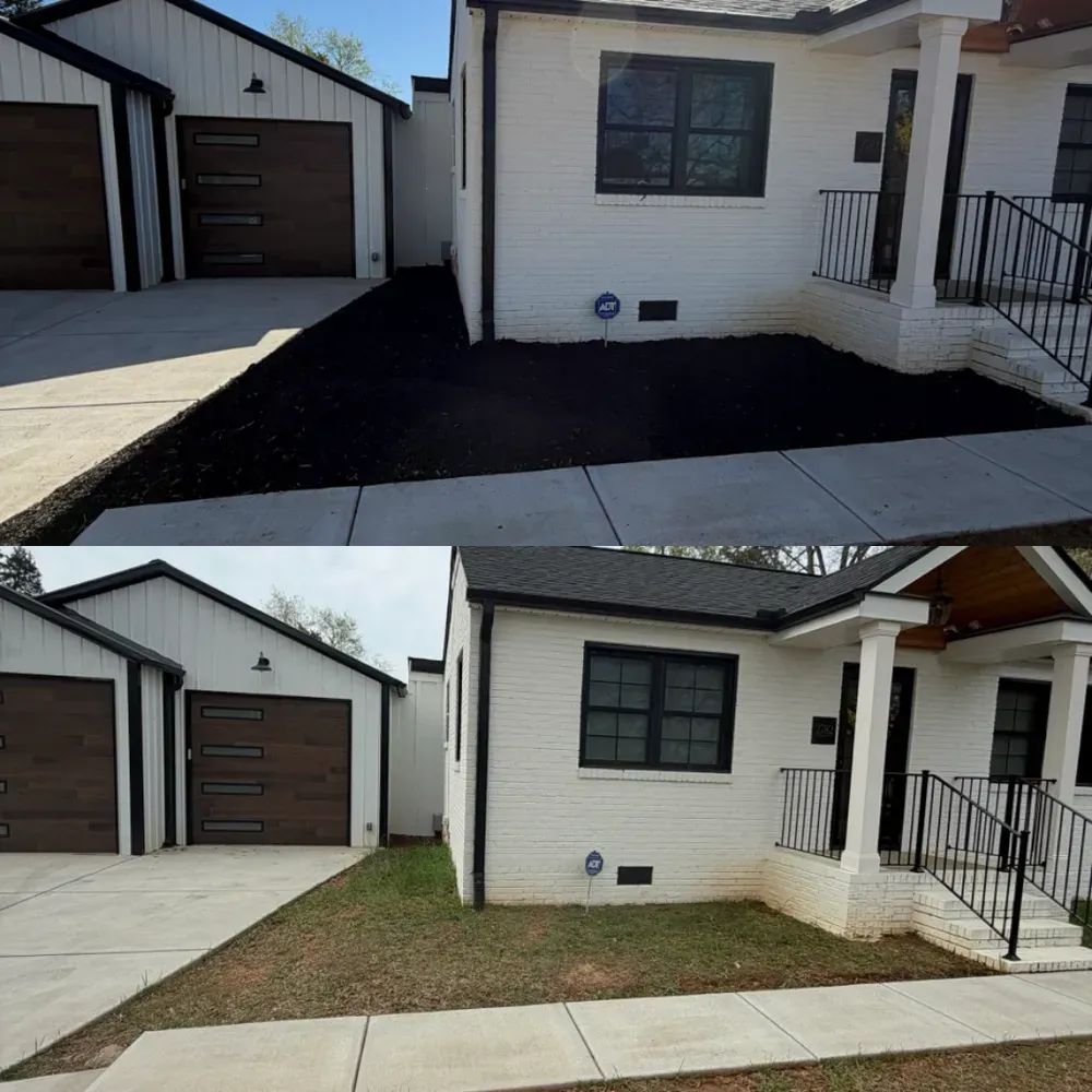 Before-and-after view of a house front yard, showing black mulch replaced with grass and a concrete walkway.