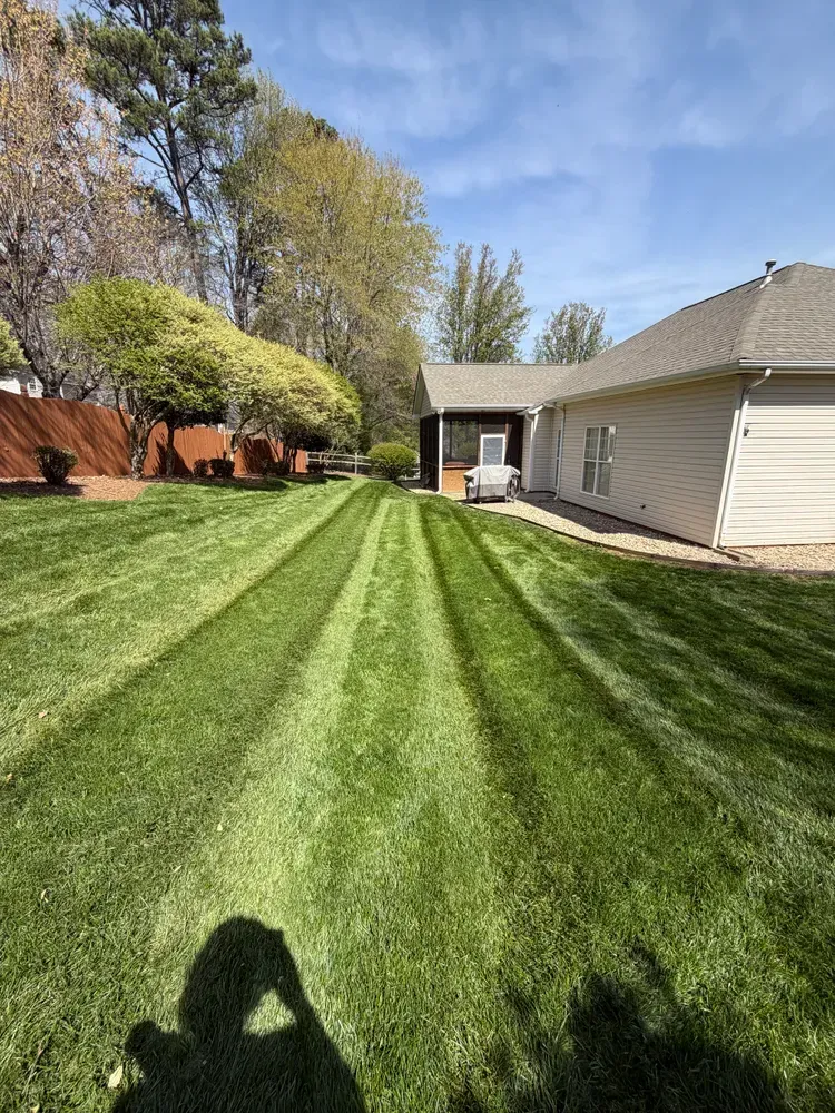 Freshly mowed green lawn with striped patterns beside a house and patio in a backyard