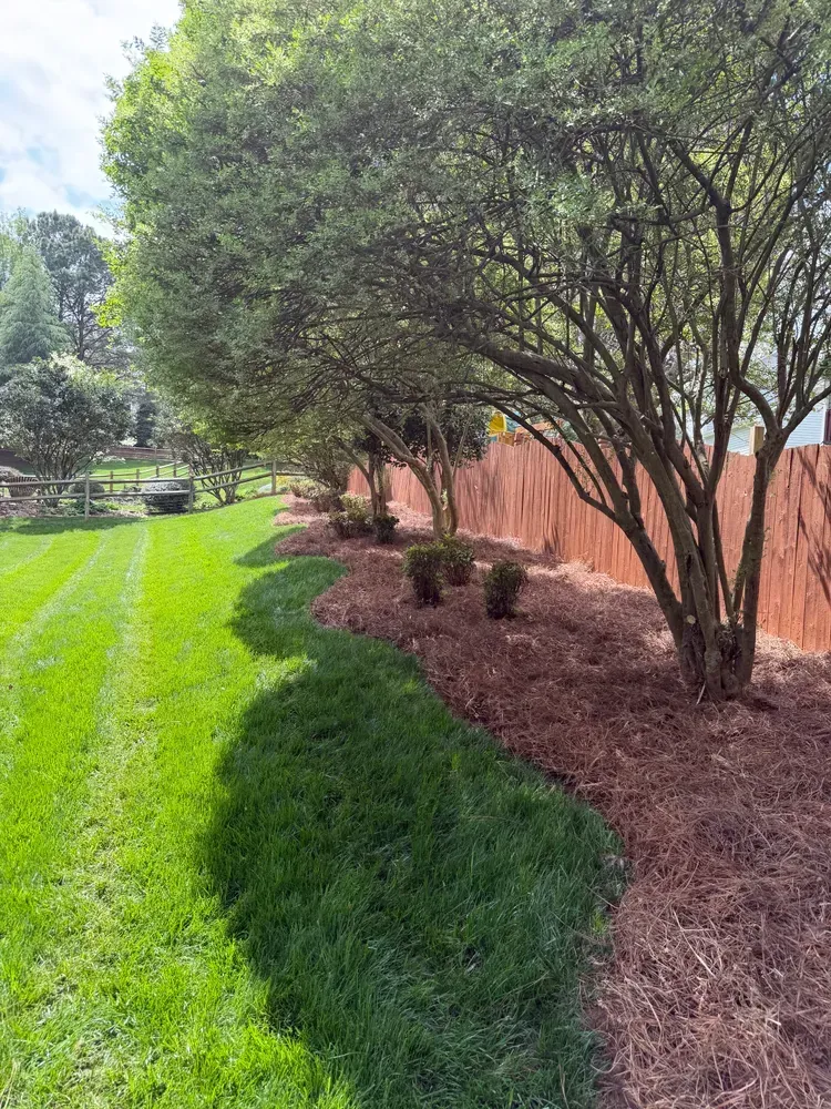 Sunny backyard with green lawn, row of trees, and mulched beds beside a wooden fence