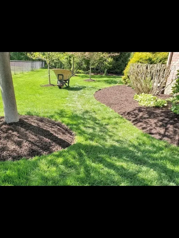 Sunny backyard with a wheelbarrow, green lawn, and mulched tree beds