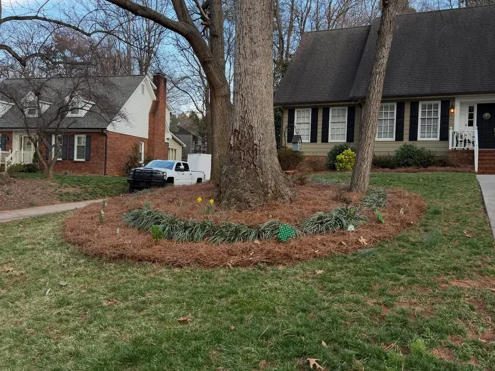 Suburban front yard with a large tree, circular flower bed, and brick houses in the background