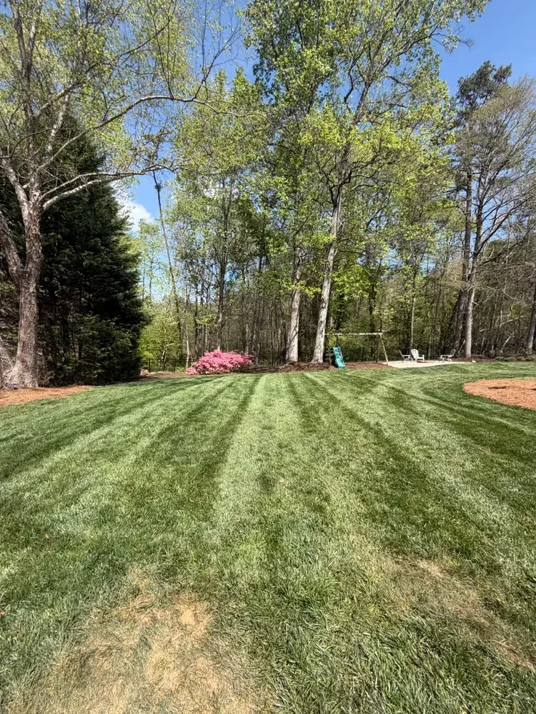 Grassy lawn with tree line and a pink covered object in the background on a sunny day
