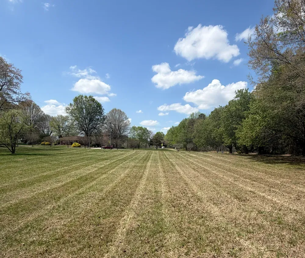 Wide grassy park field under a blue sky with clouds, lined by trees on both sides.