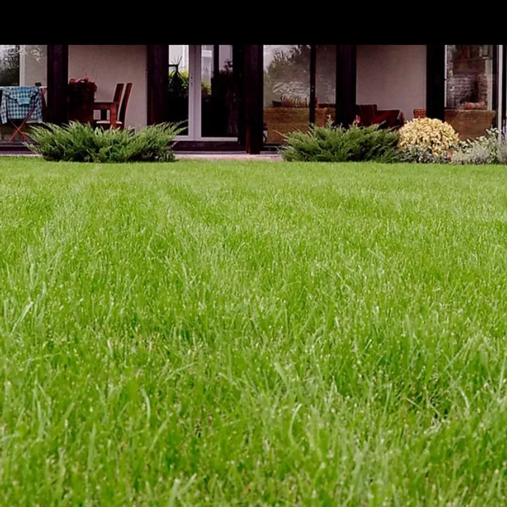 Green lawn in front of a house with a porch and potted plants