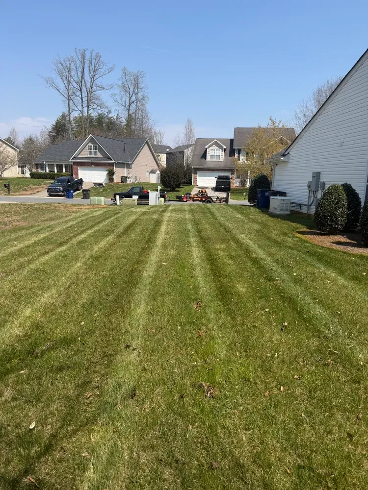 Wide green suburban lawn with striped mowing lines, houses in the background, and a clear blue sky.