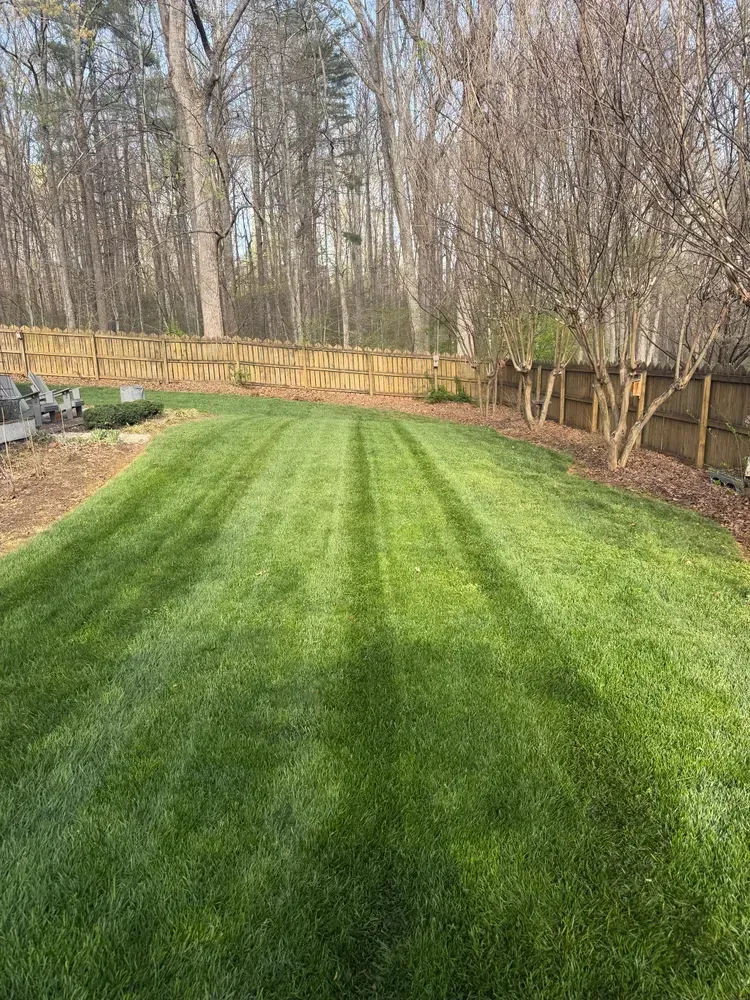 Backyard lawn with striped green grass, a wooden fence, and leafless trees in the background