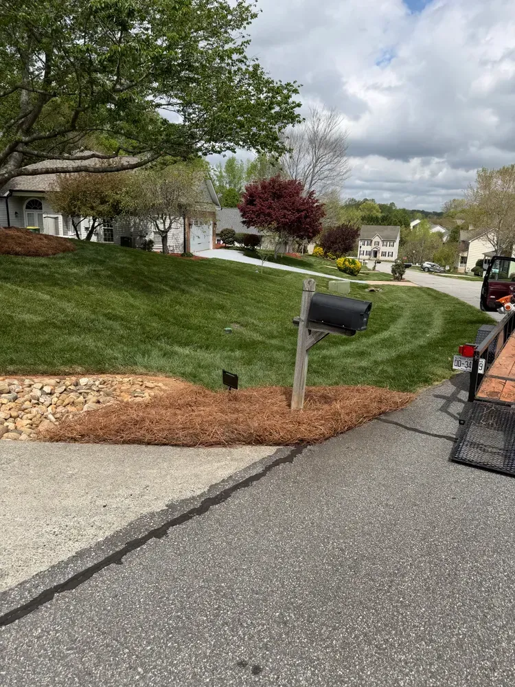 Suburban street with sloped grass yard, mailbox, driveway, and cloudy sky