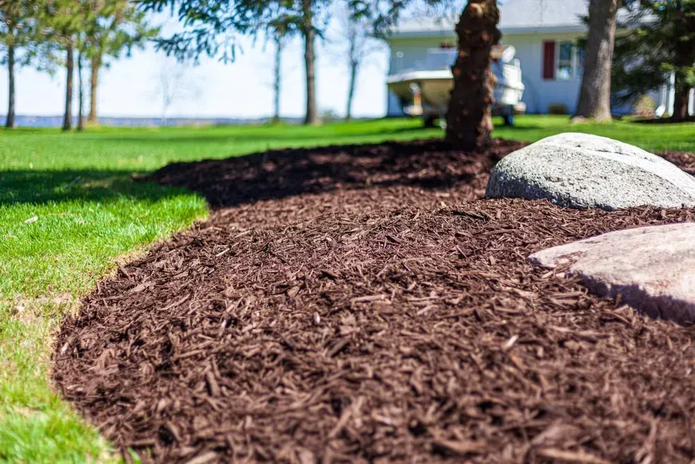 Mulched garden bed beside a tree, with green lawn and a house in the background