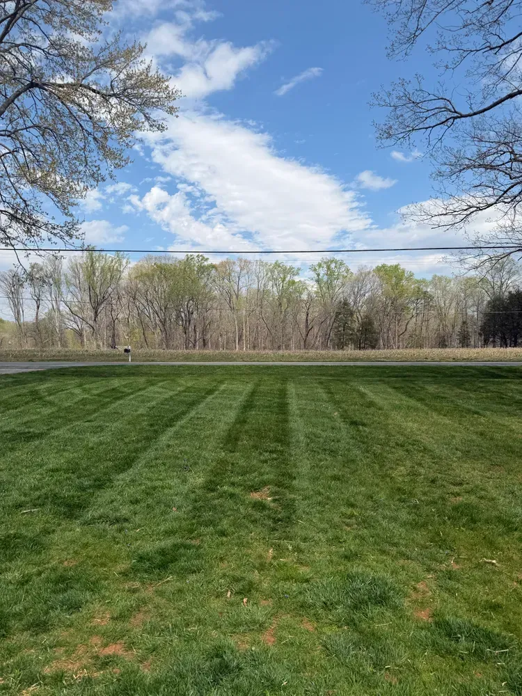 Grassy park field under a blue sky with clouds, trees lining the horizon, and a road in the distance
