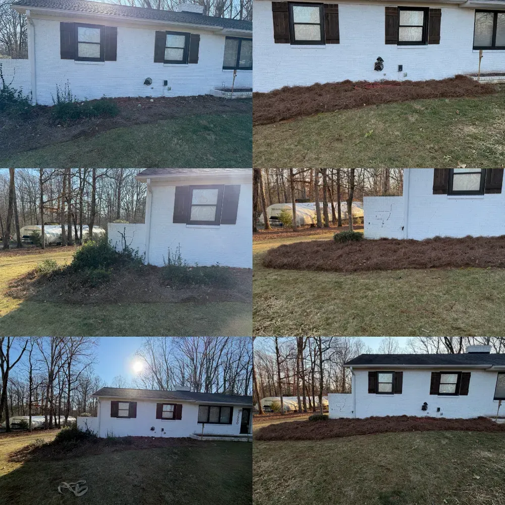 White house exterior with fresh mulch beds and a grassy yard, shown in a 6-panel collage.