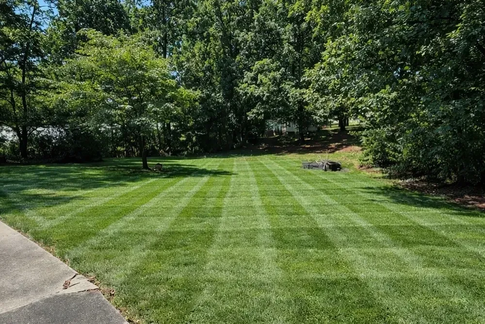 Freshly mowed green lawn with striped patterns beside a paved path and trees in the background
