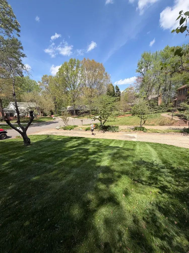Sunny park with green lawn, trees, and a dirt path under a blue sky with clouds