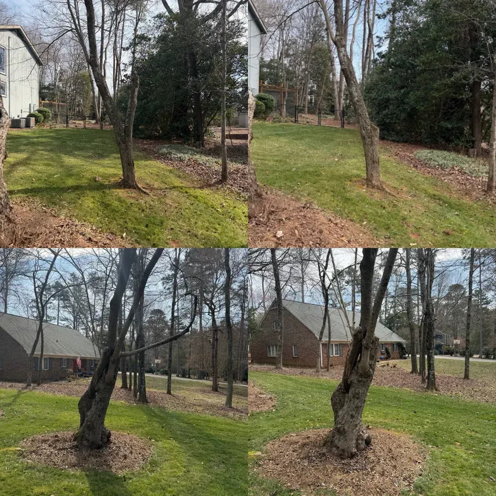 Before-and-after view of a yard with young trees and sloped grass, showing erosion control improvements.