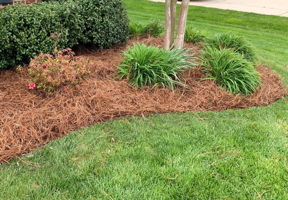 Mulched garden bed with shrubs and two ornamental grasses around a tree, bordered by green lawn