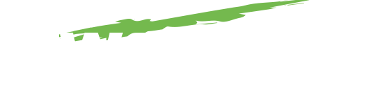 Ein grüner Pinselstrich auf weißem Hintergrund.