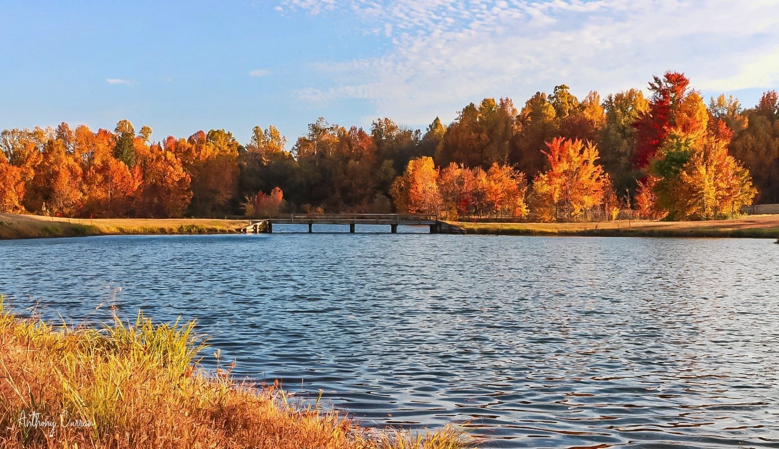 A lake with trees in the background and a bridge in the distance
