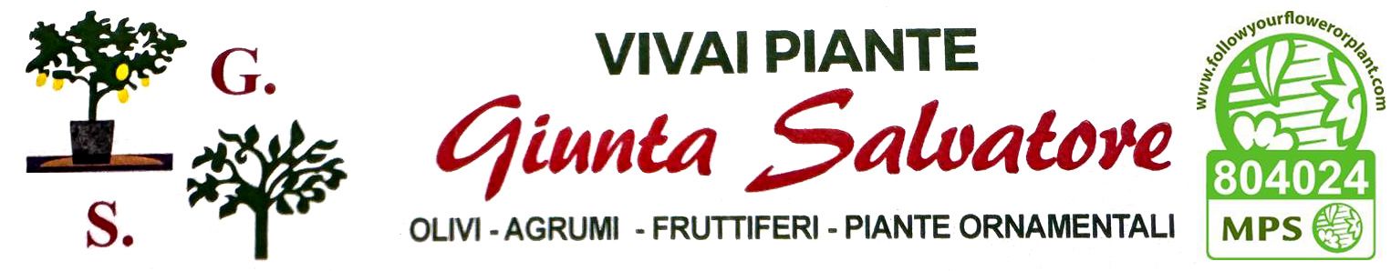 Logo Vivai Giunta