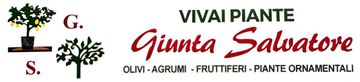 Logo Vivai Giunta