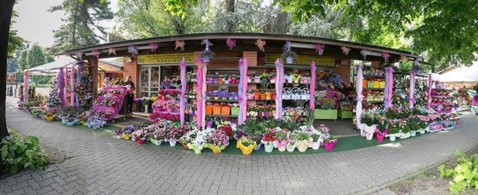 vendita di fiori freschi
