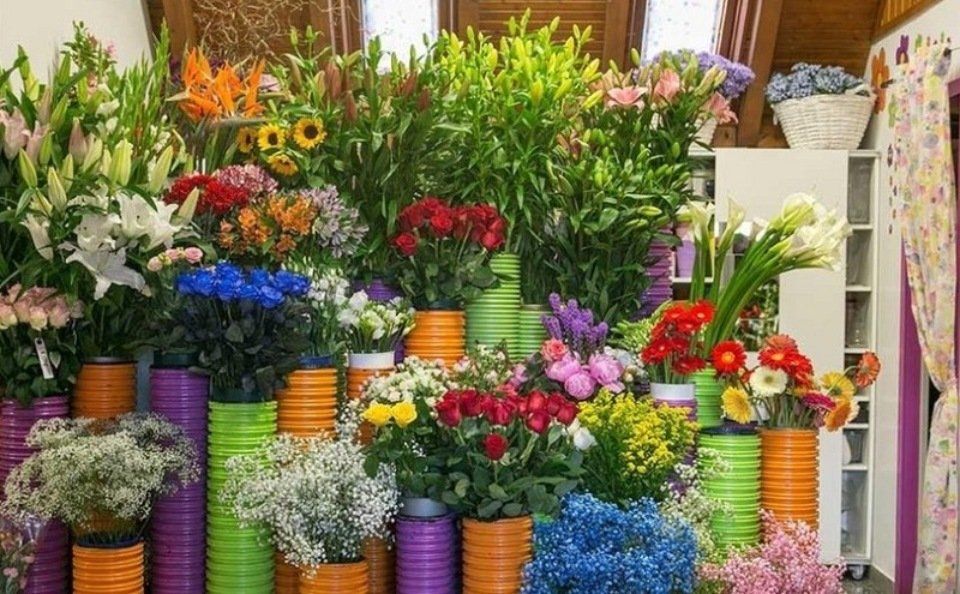 vendita fiori freschi