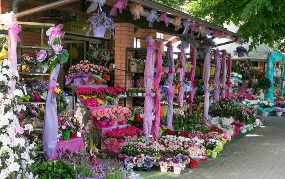 fiori freschi del negozio