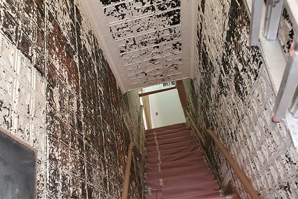 A dilapidated stairwell with peeling paint on the walls and a red carpet on the stairs.