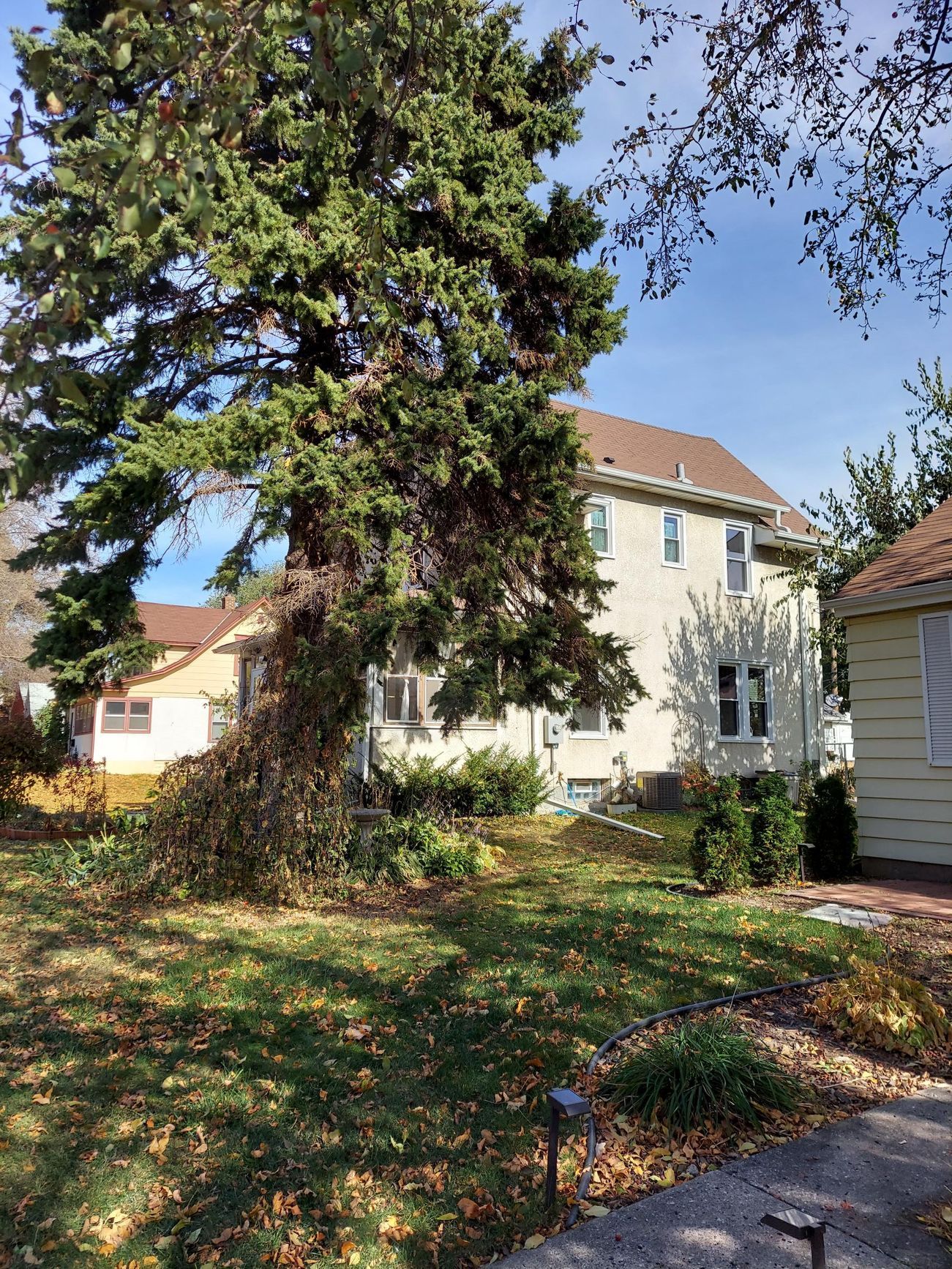 A house with a large pine tree in front of it