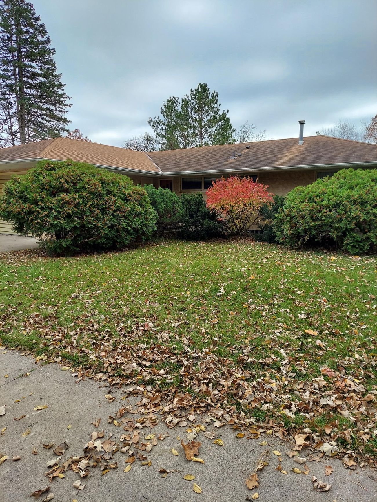 A house with a lot of leaves on the ground in front of it.