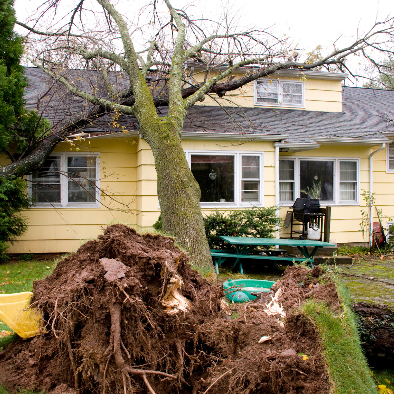 We buy homes with damaged roofs, foundation issues, or major damage.