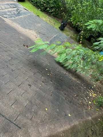 A brick walkway with a few plants on the side of it.