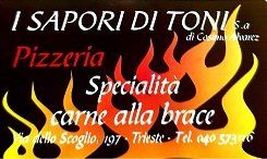 I SAPORI DI TONI logo
