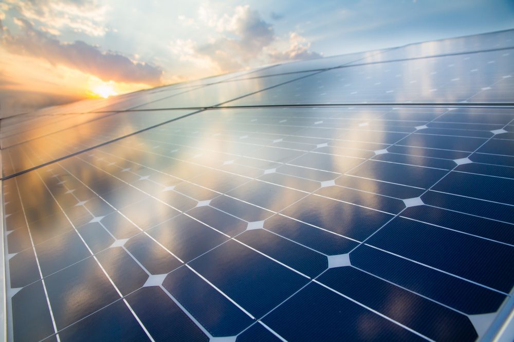 A Row Of Solar Panels Sitting On Top Of A Lush Green Field — Trusted Energy Solutions In Stafford, QLD