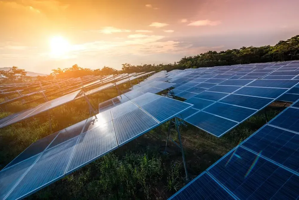 A Row Of Solar Panels In A Field At Sunset — Trusted Energy Solutions In Everton Hills, QLD