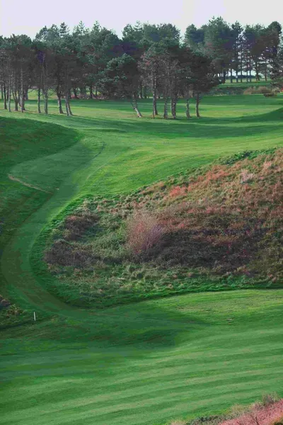 A Golf Course With A Lot Of Green Grass And Trees In The Background — Trusted Energy Solutions In Everton Hills, QLD