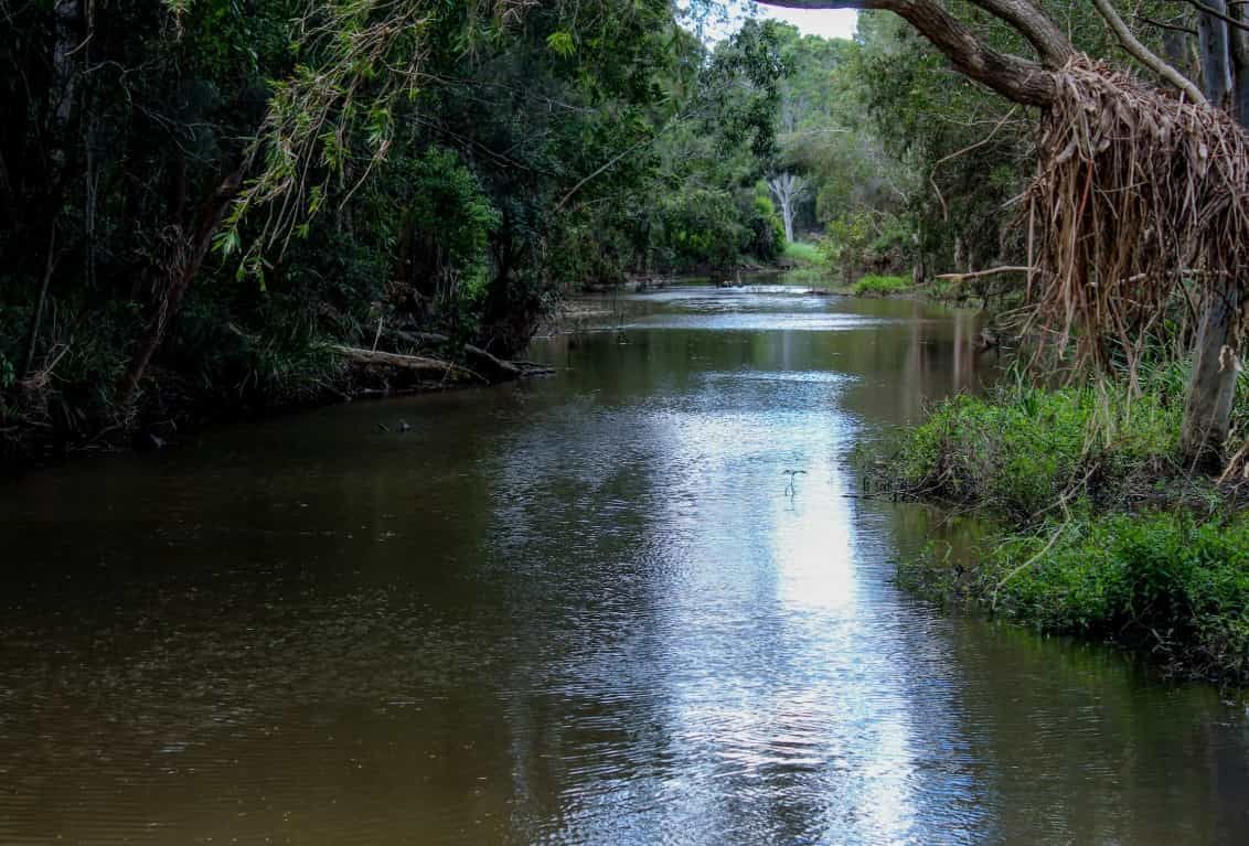 A River Flowing Through a Lush Green Forest Surrounded by Trees — Trusted Energy Solutions In Pimpama, QLD