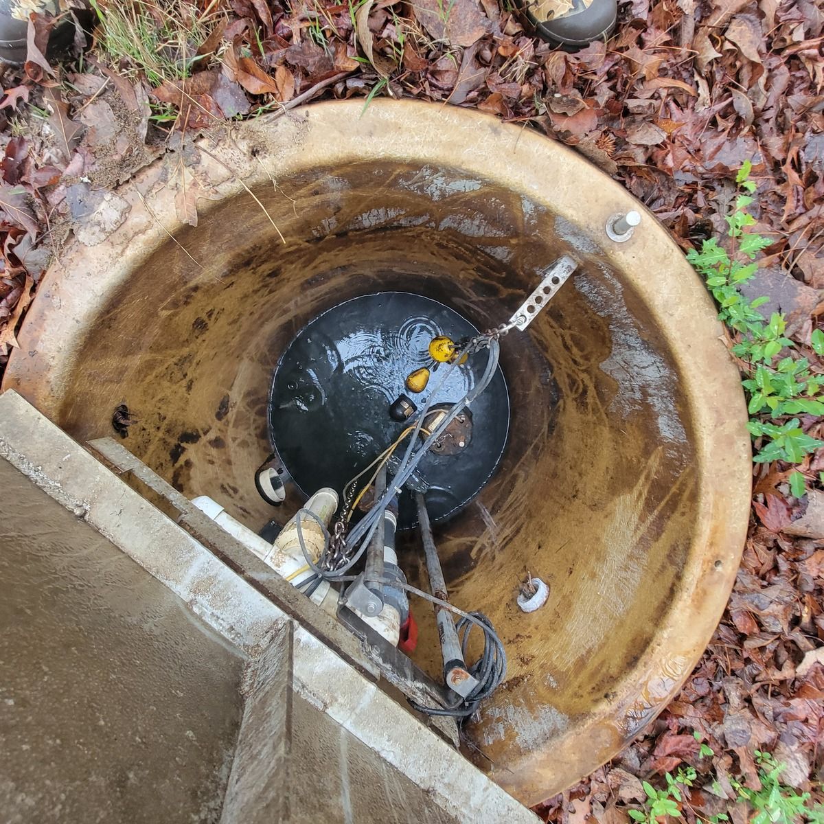 California - Wikipedia