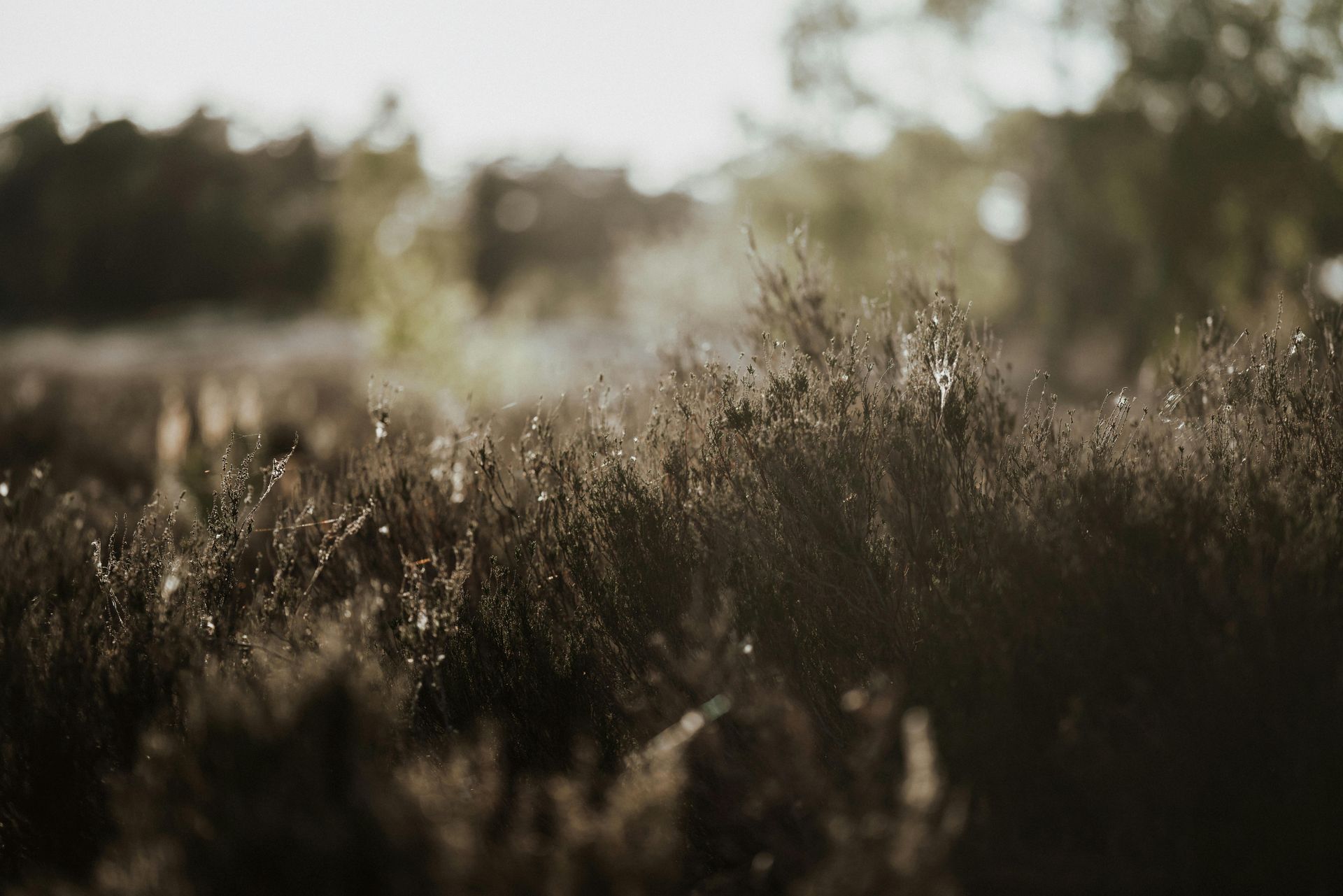 Our Clinical Approach to Manual Therapy Treatment 