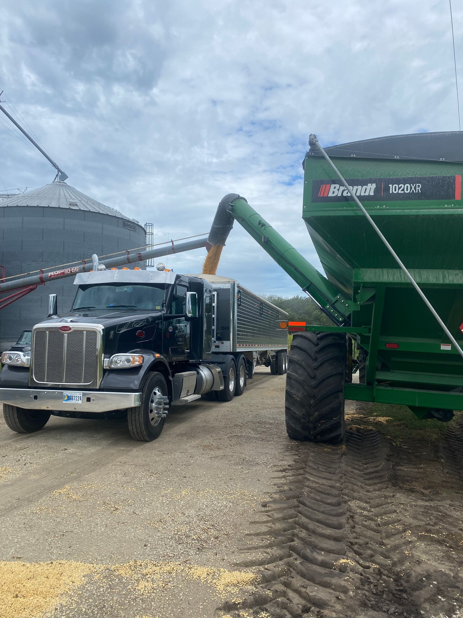 A black semi truck is being loaded with corn.