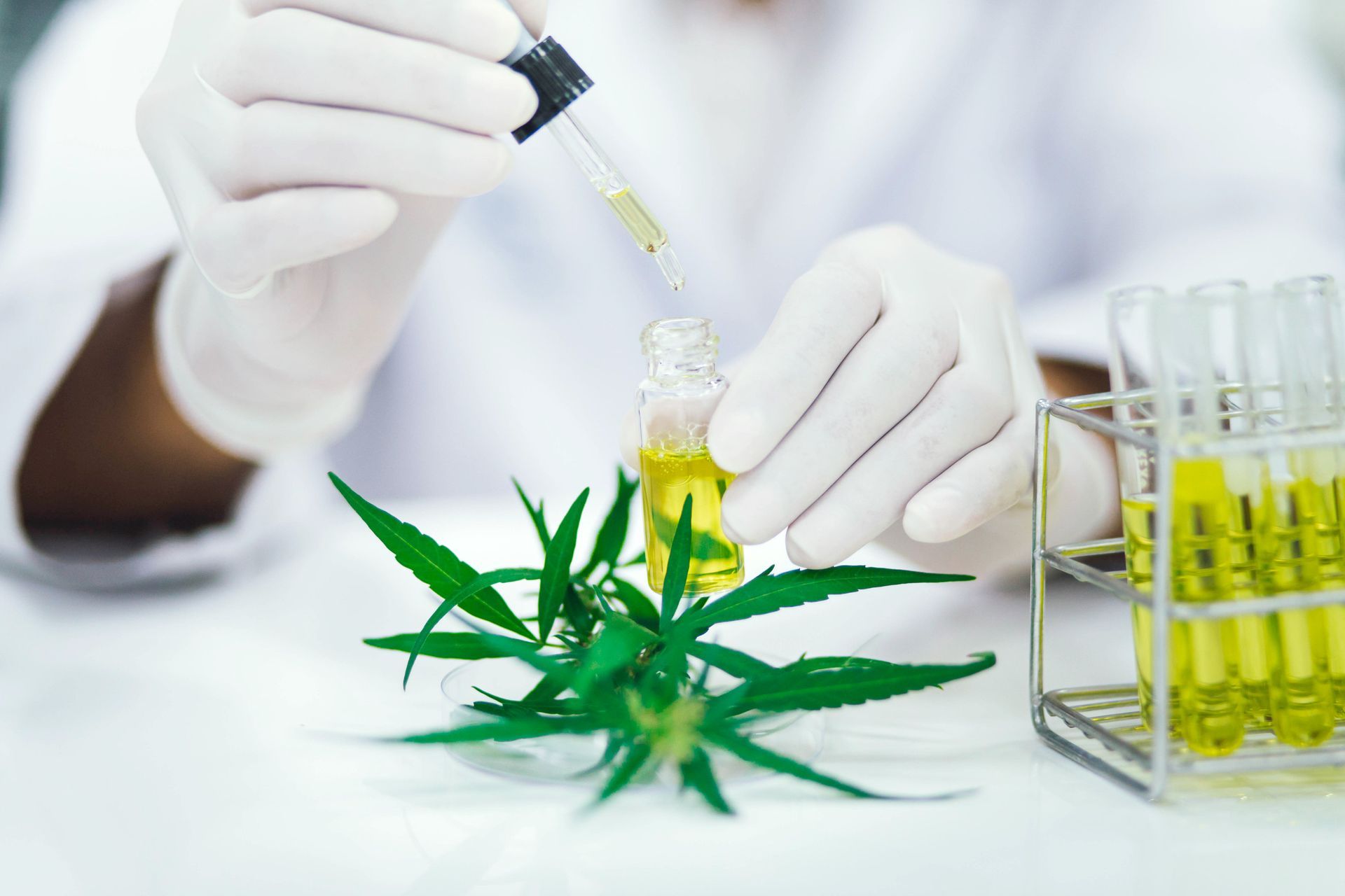 Scientist with gloved hands adding liquid from a dropper into a vial; cannabis leaves sit nearby.