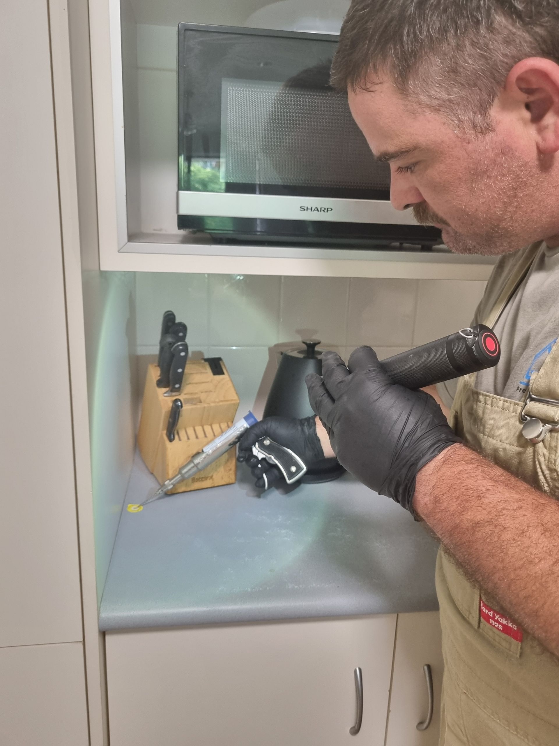 A House With a White Picket Fence and a Sunset in the Background — Pioneer Pest Mackay in Glenella, Qld