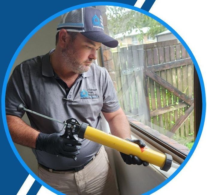 A Man is Spraying a Bug on a Wooden Floor — Pioneer Pest Mackay In Glenella, QLD