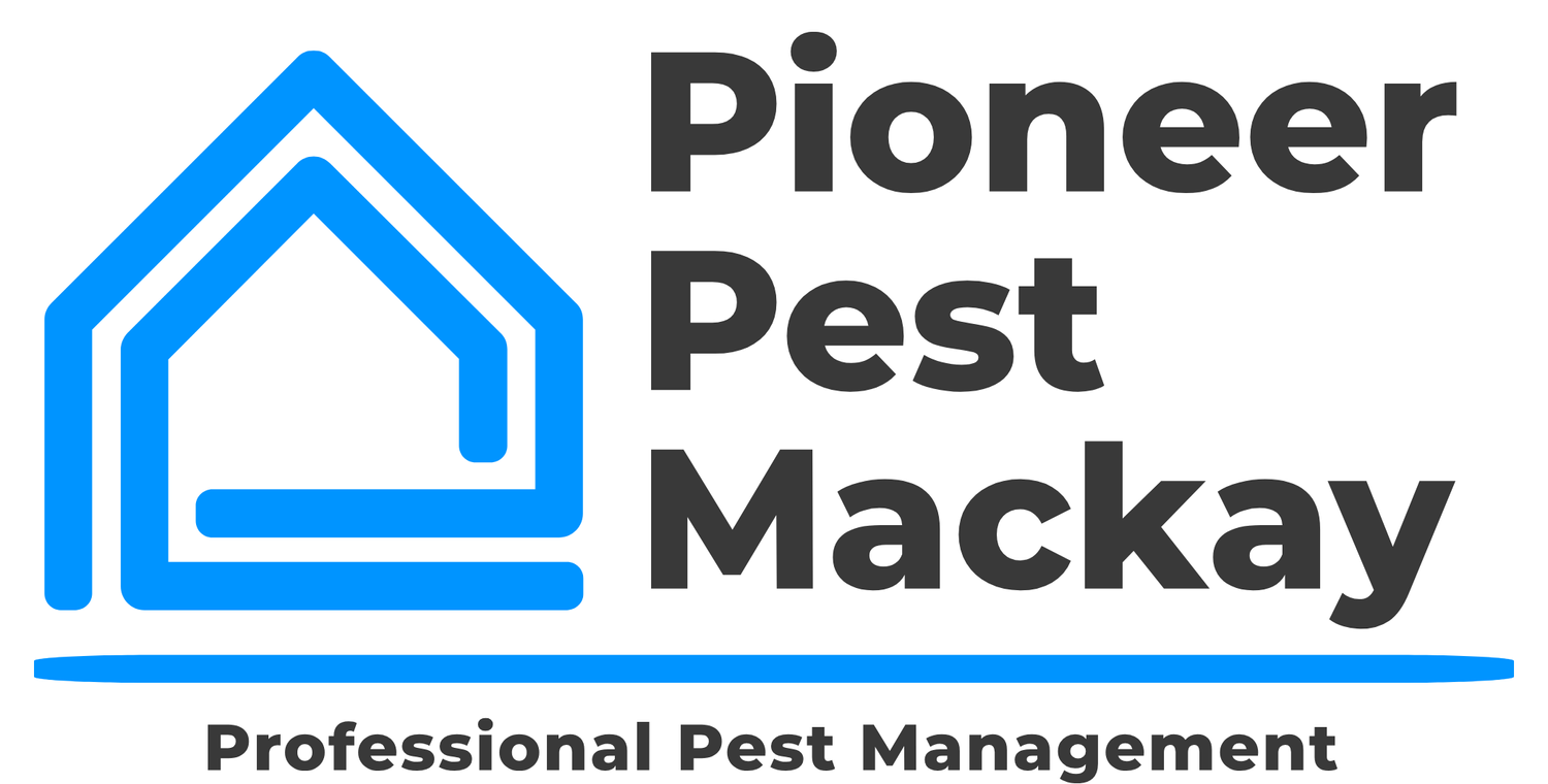 Pest Control in Mackay