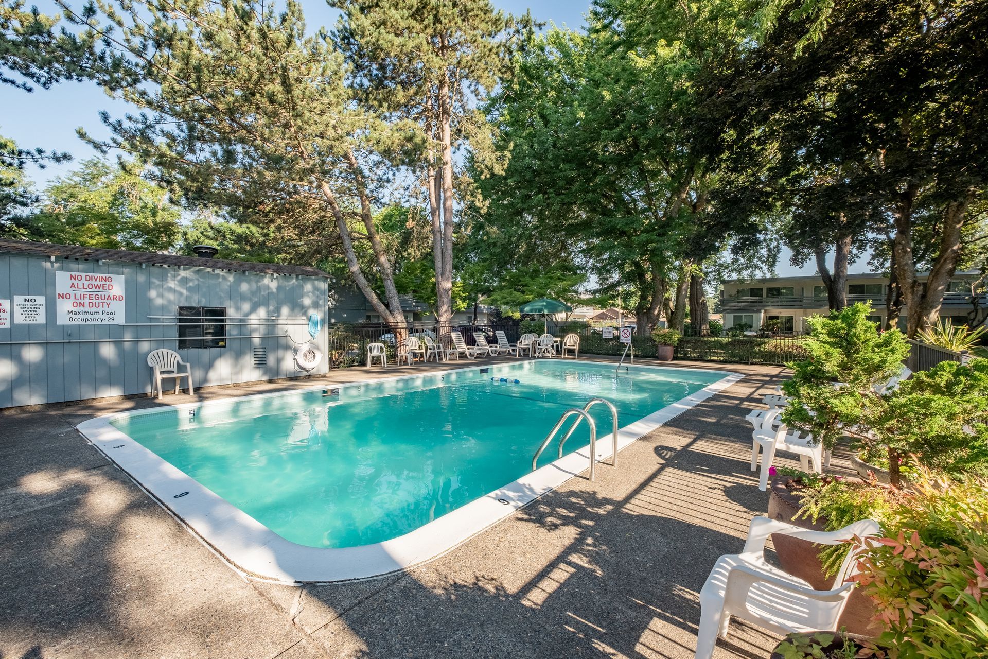 A large swimming pool surrounded by trees and chairs