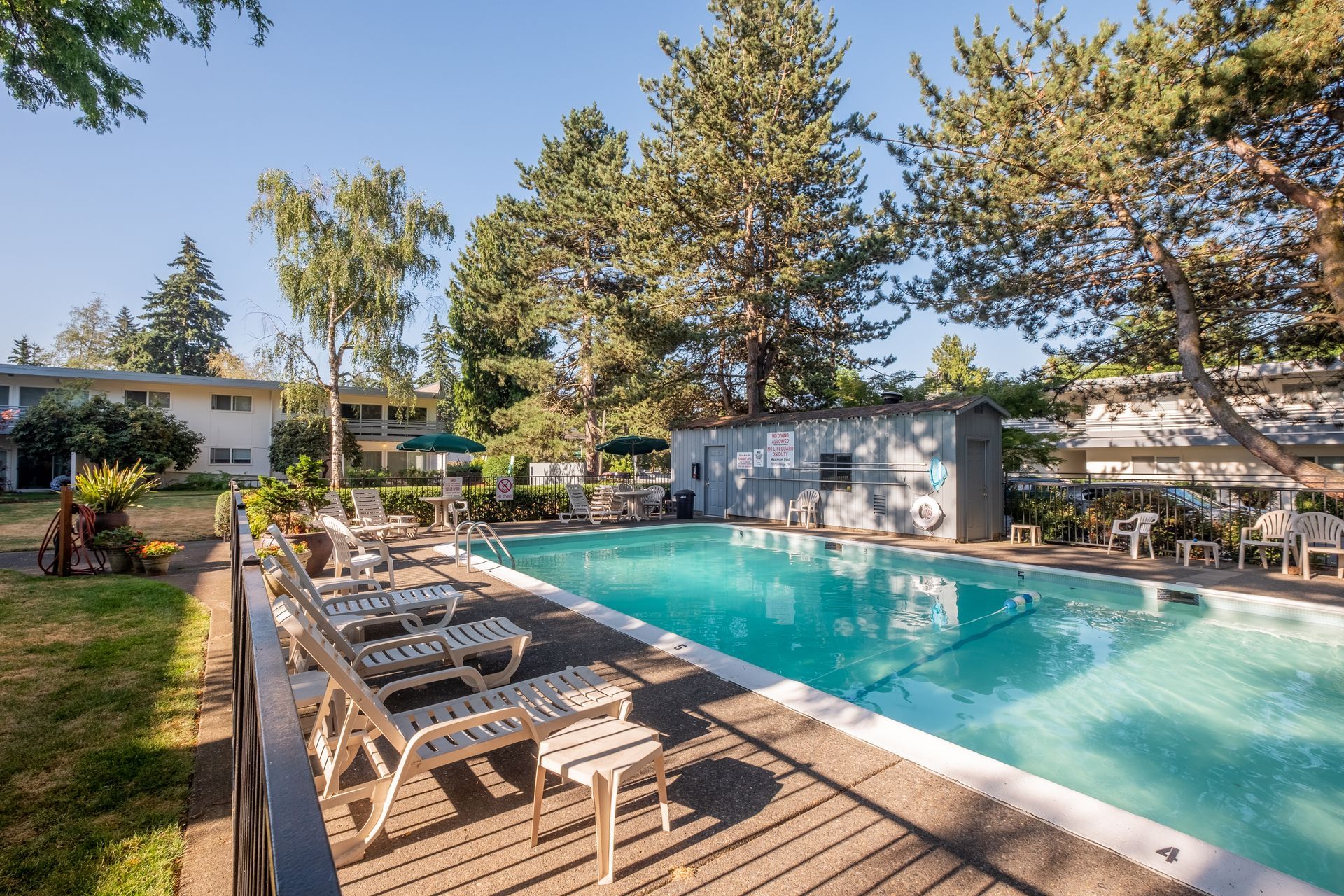 A large swimming pool surrounded by chairs and trees.