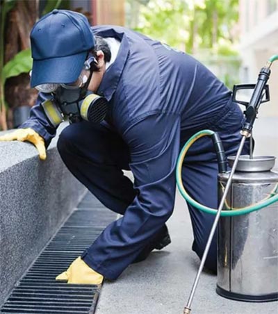 Commercial Pest Control Services