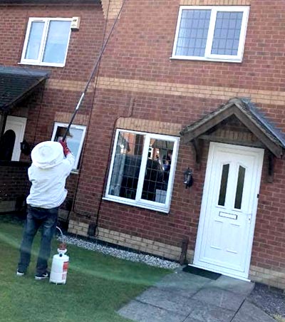 Domestic Pest Control Services