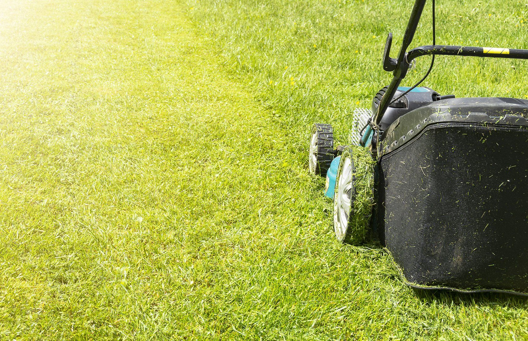 A lawn mower is cutting a lush green lawn.