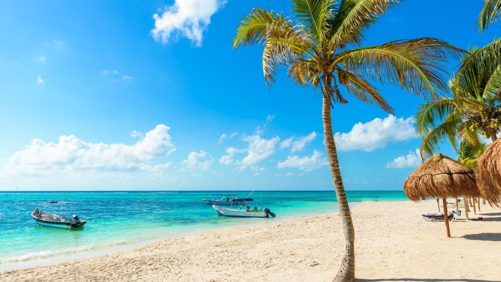 Escena de playa con palmeras, agua turquesa, barcos y un cielo azul.